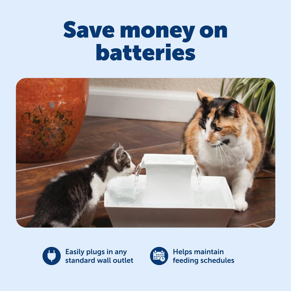 PetSafe gros plan finition plastique noir pour durabilité quotidienne