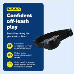 PetSafe collier indicateur de batterie pour recharge et tranquillité