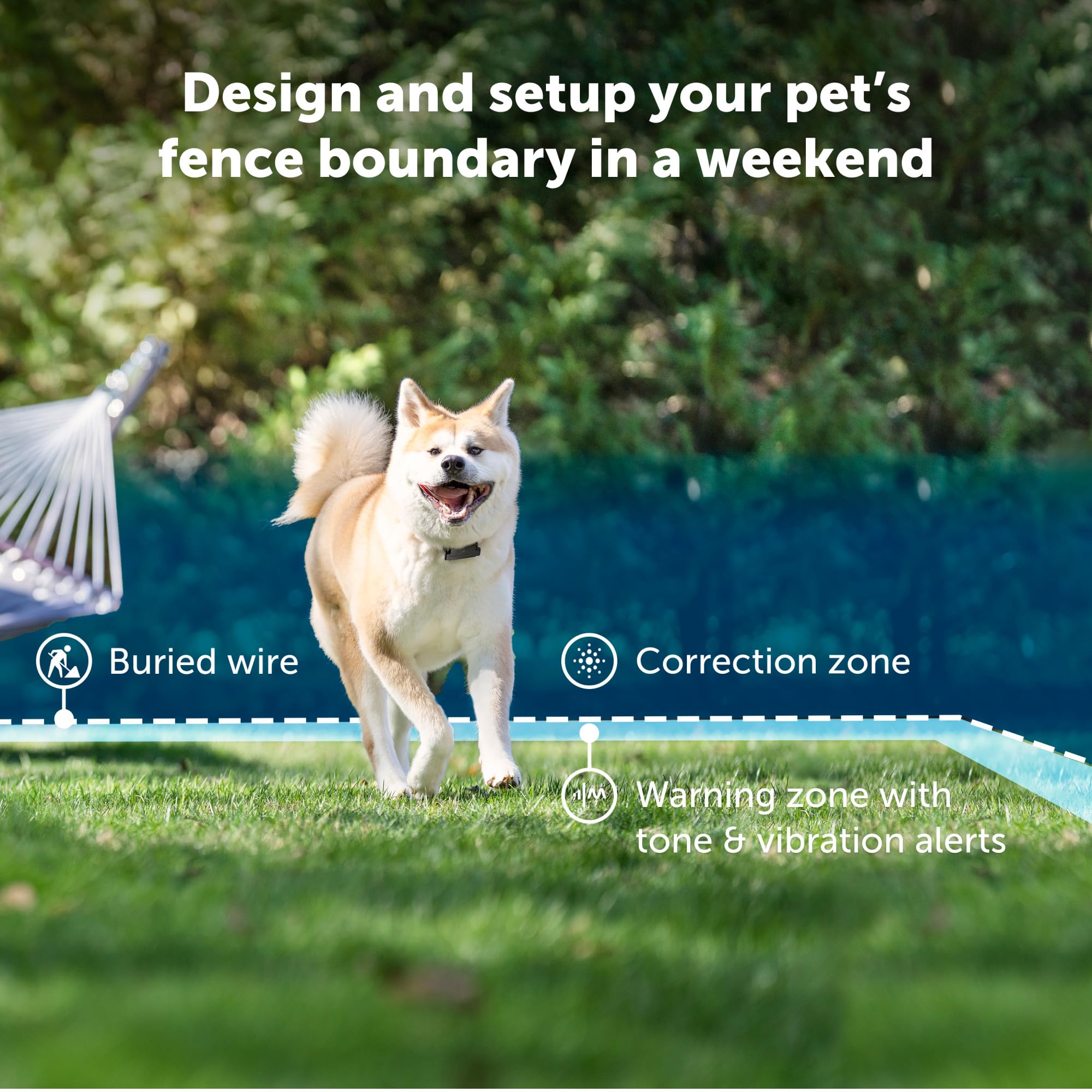 PetSafe collier gros plan sur les électrodes pour contact précis et sûr