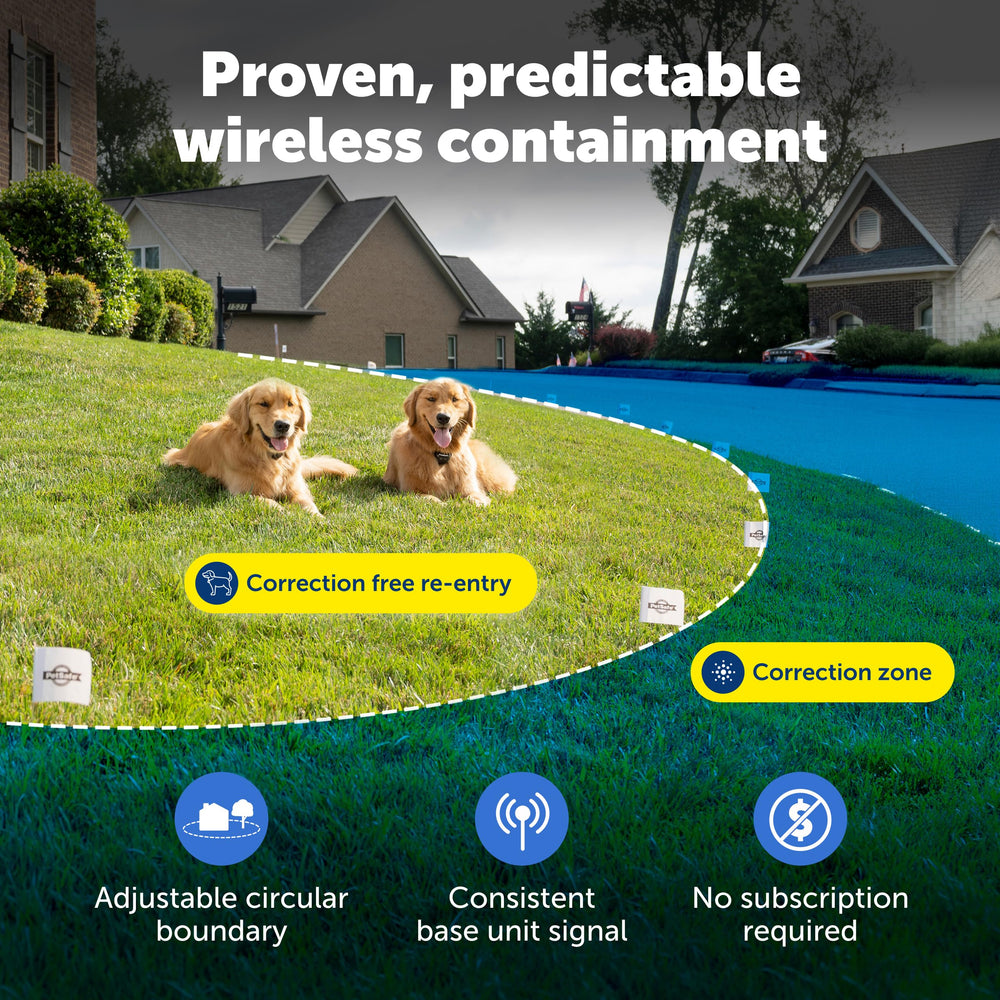 PetSafe collier en cours de charge, batterie rechargeable pratique