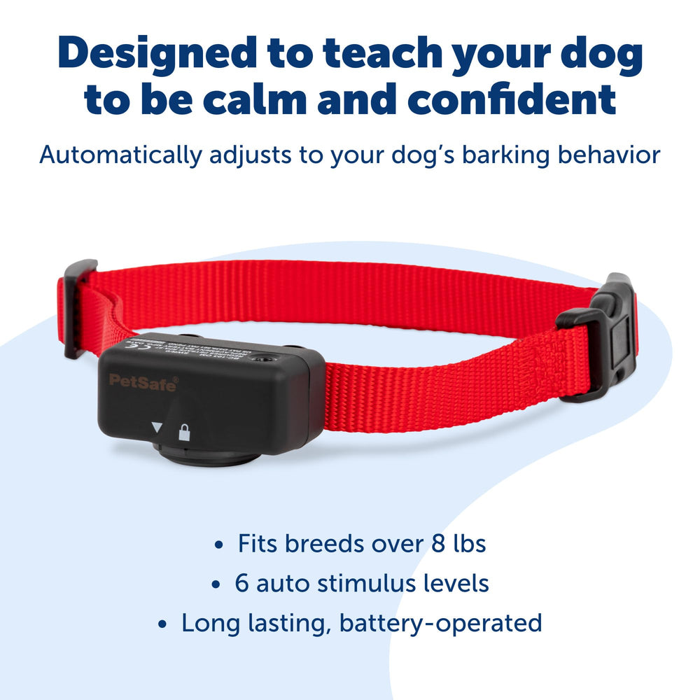 PetSafe collier submergé illustrant l’étanchéité pour entraînement extérieur fiable