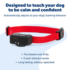 PetSafe collier submergé illustrant l’étanchéité pour entraînement extérieur fiable