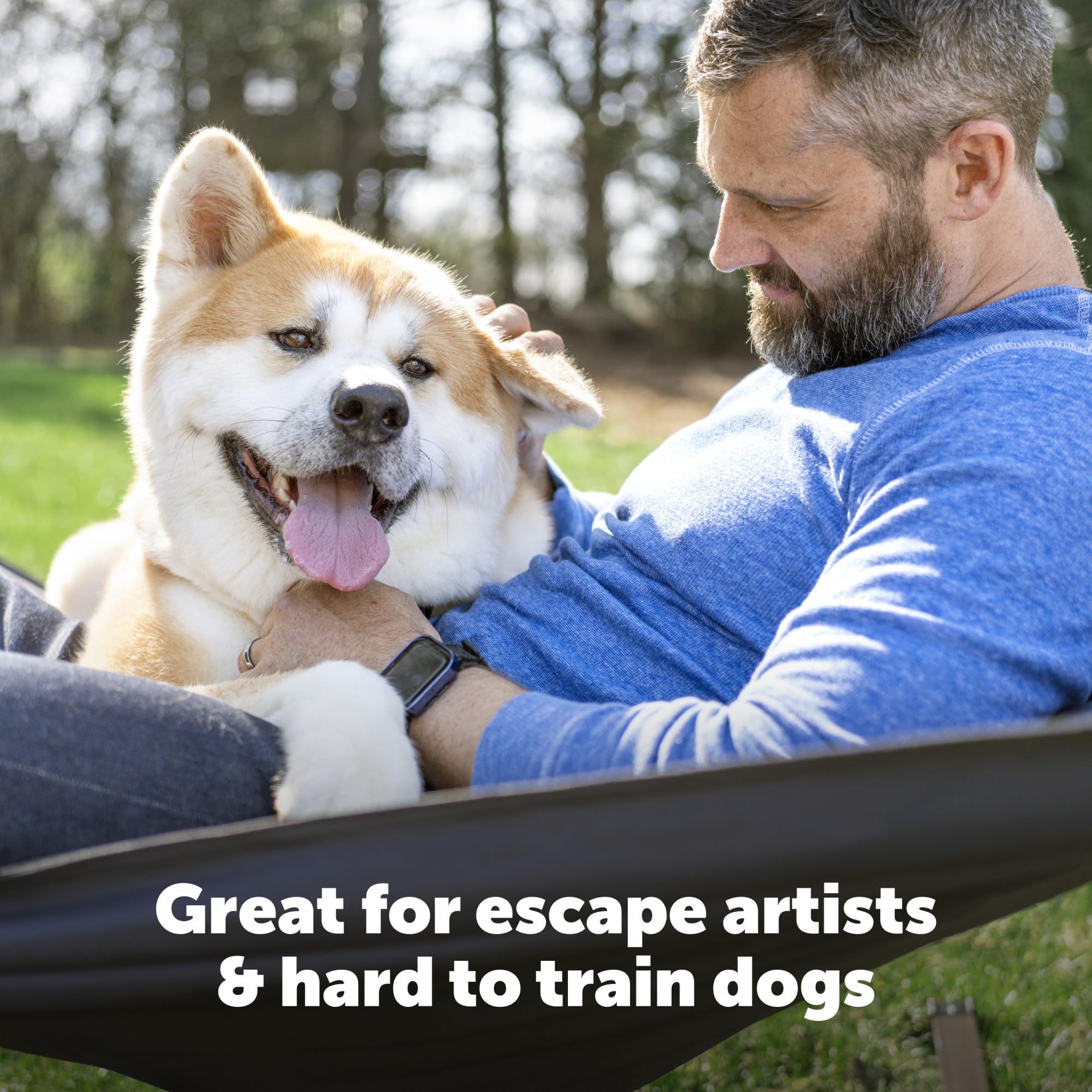 PetSafe collier en usage avec chien dans le jardin pour confinement sûr