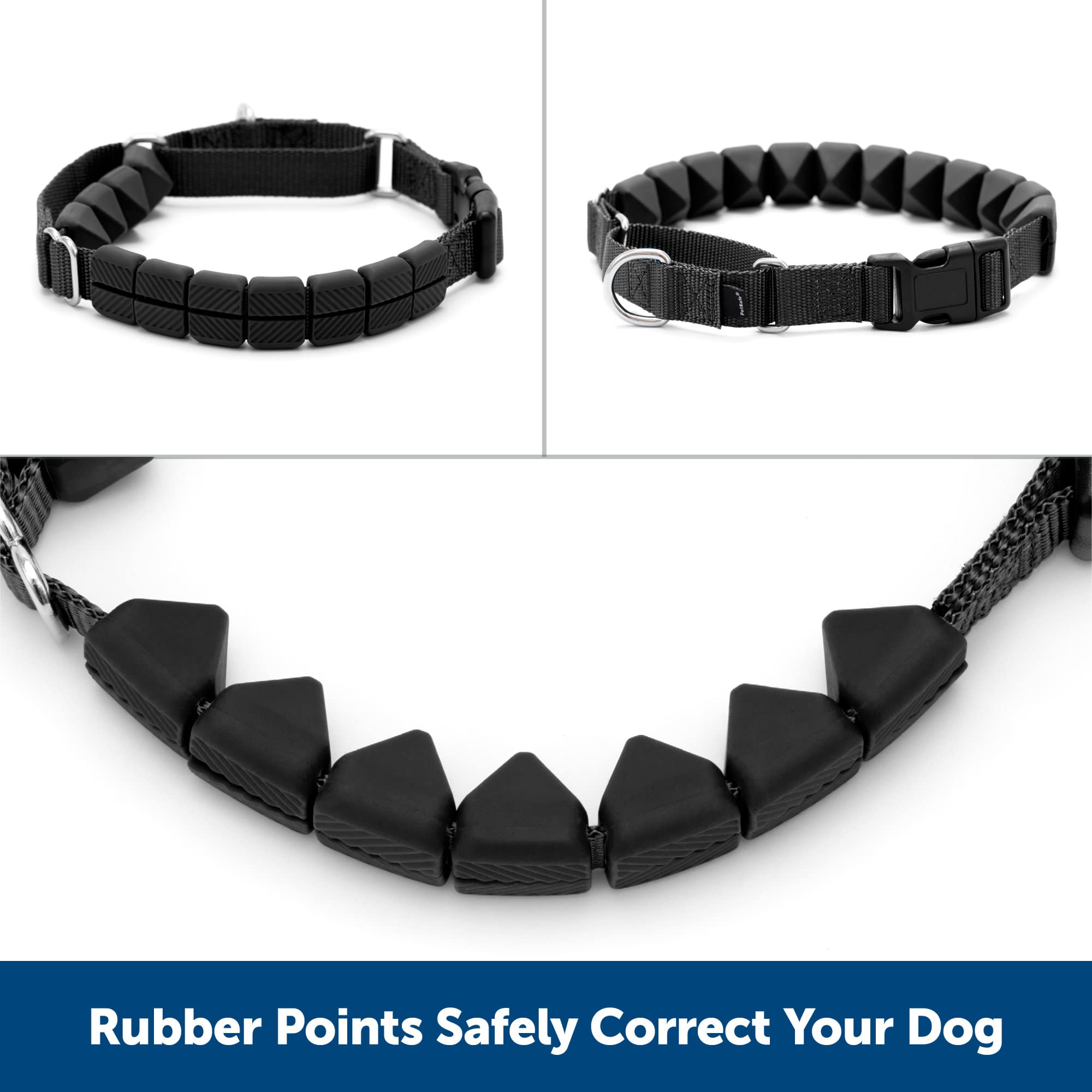 PetSafe collier porté lors d'une promenade apportant promenades sereines