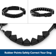 PetSafe collier porté lors d'une promenade apportant promenades sereines