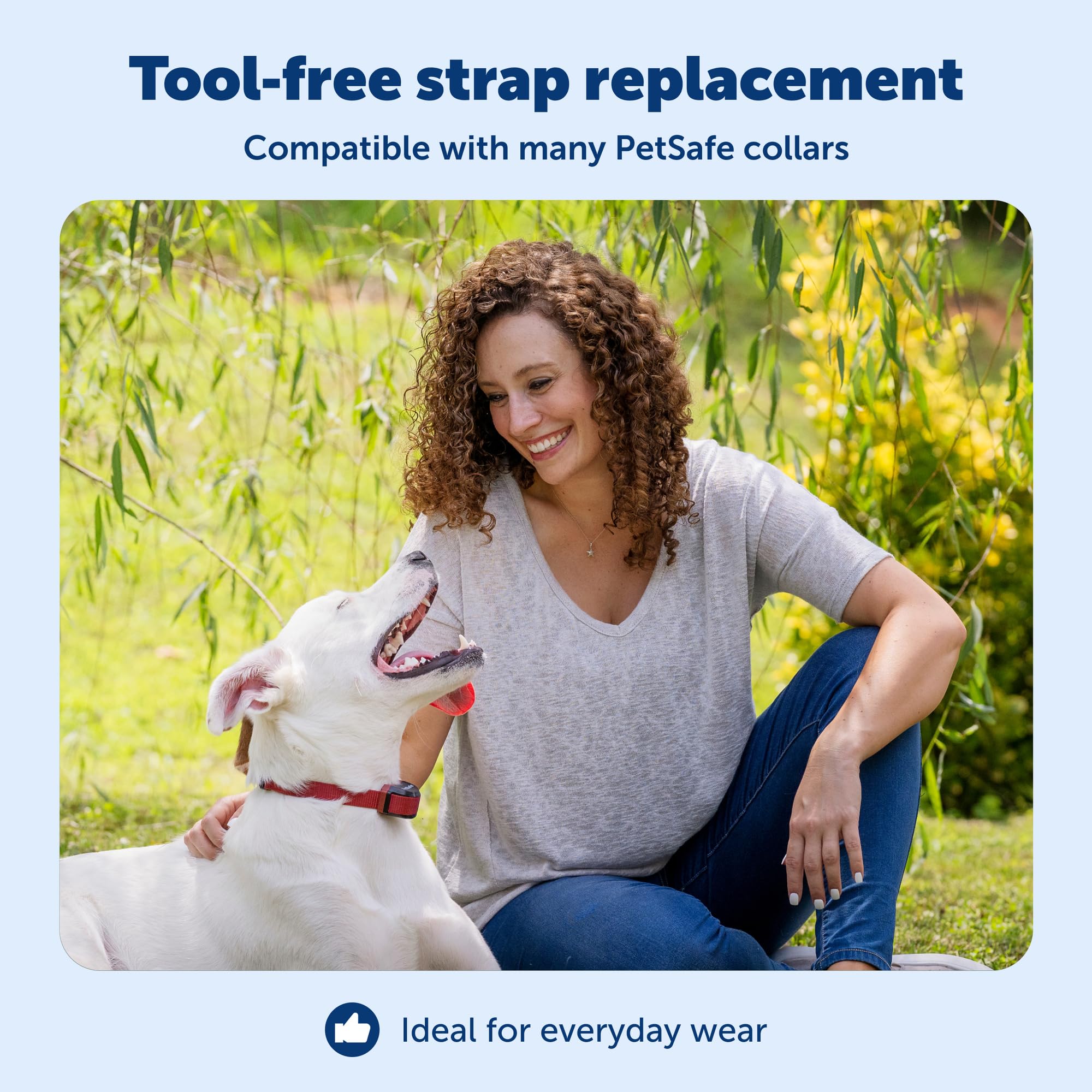 PetSafe collier en usage sur chien pour surveillance et liberté contrôlée