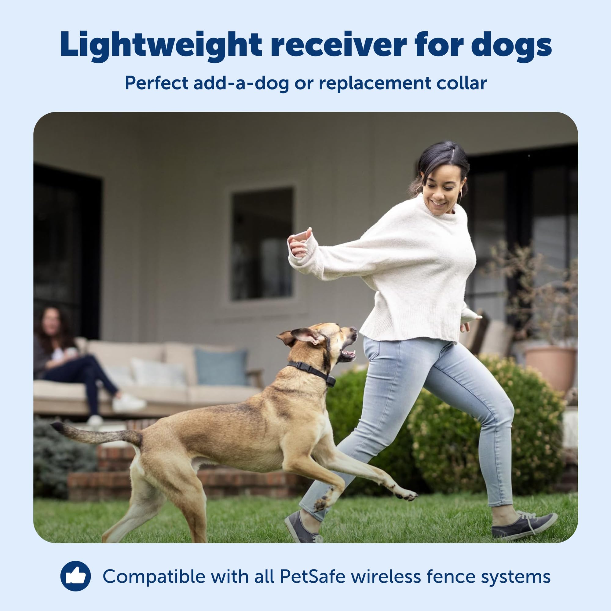 PetSafe collier porté par chien dans jardin pour sécurité pendant jeu