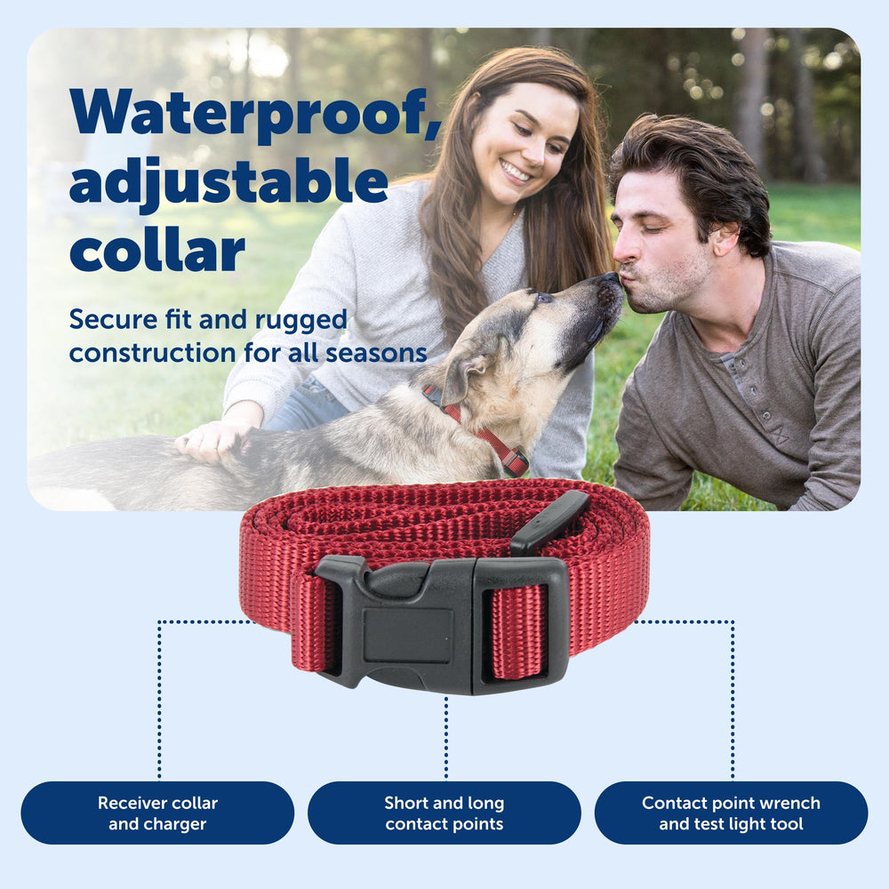 PetSafe collier en utilisation dans un jardin aidant à la sécurité