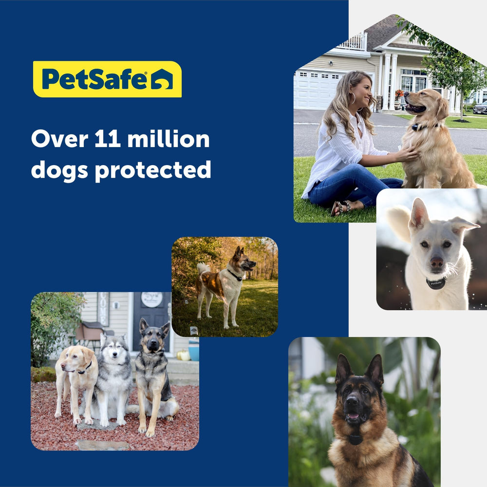 PetSafe collier étanche et batterie RFA-67 visible, autonomie et fiabilité