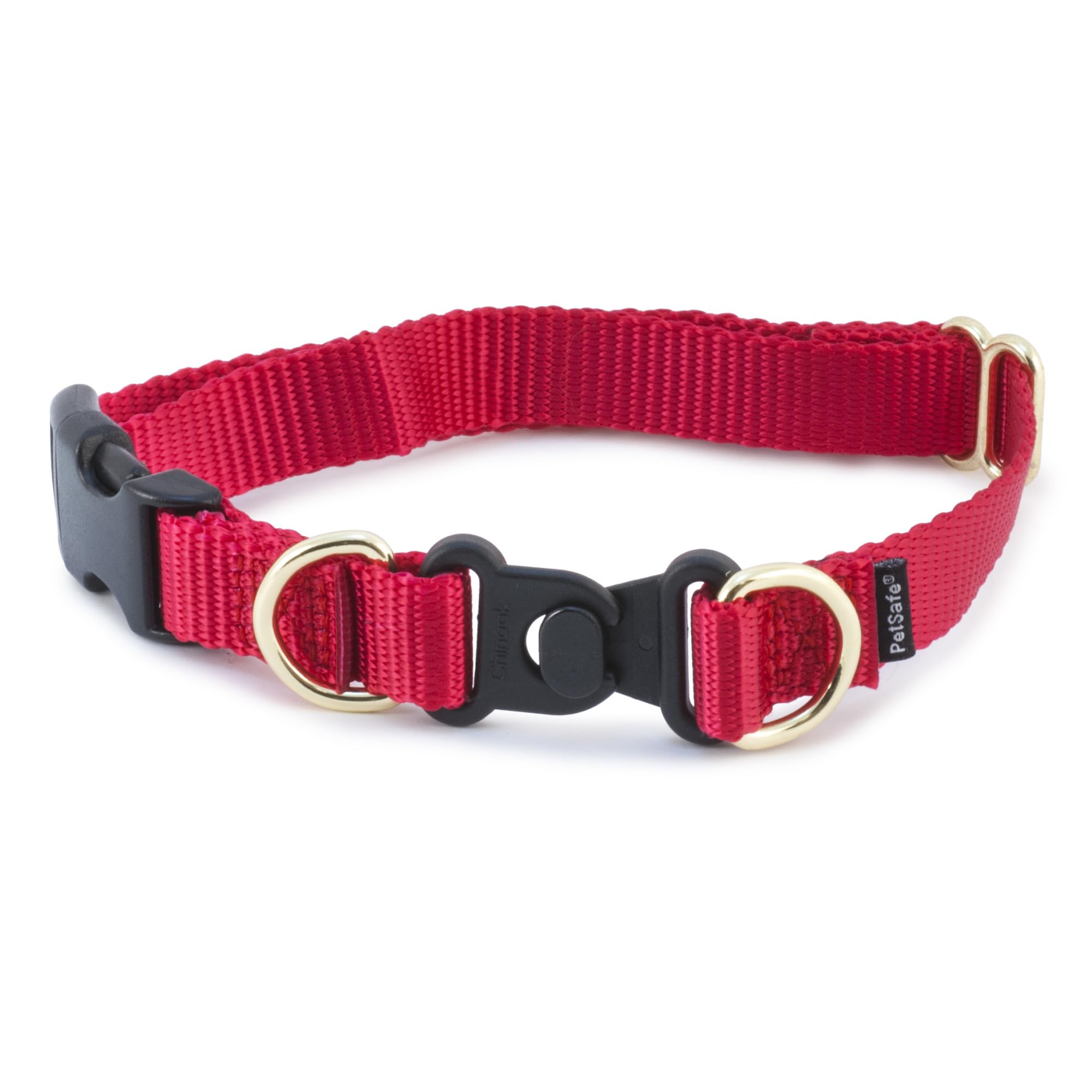 PetSafe collier face avant montrant la longueur et style, pour sécurité visible