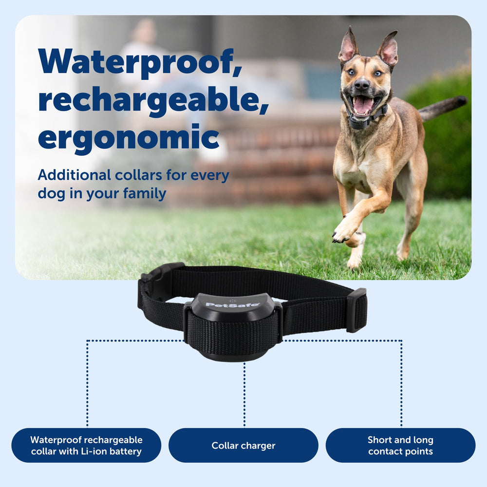 PetSafe collier avec lanière personnalisée non métallique facile à adapter