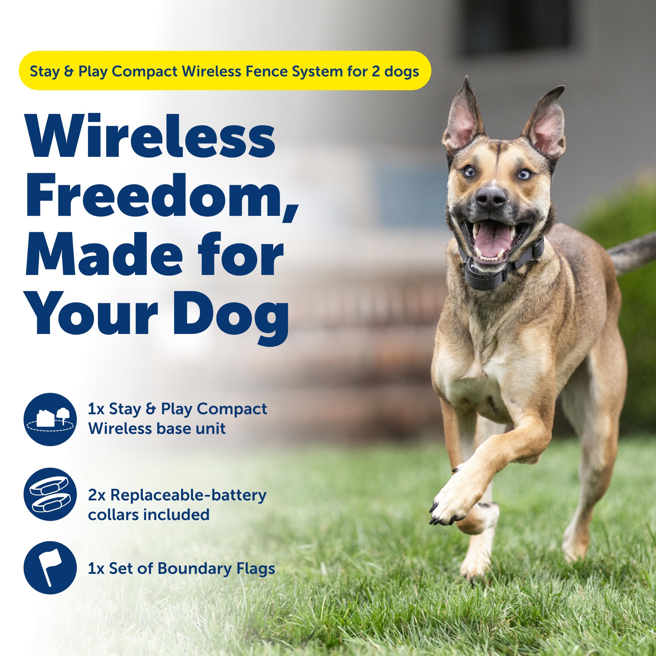 PetSafe collier récepteur profil étanche offrant sécurité et confort
