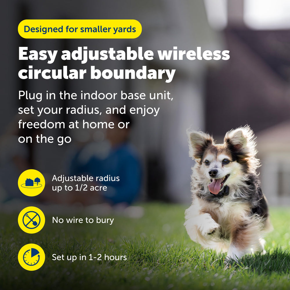 PetSafe collier récepteur vu de face, confort et ajustement sécurisés