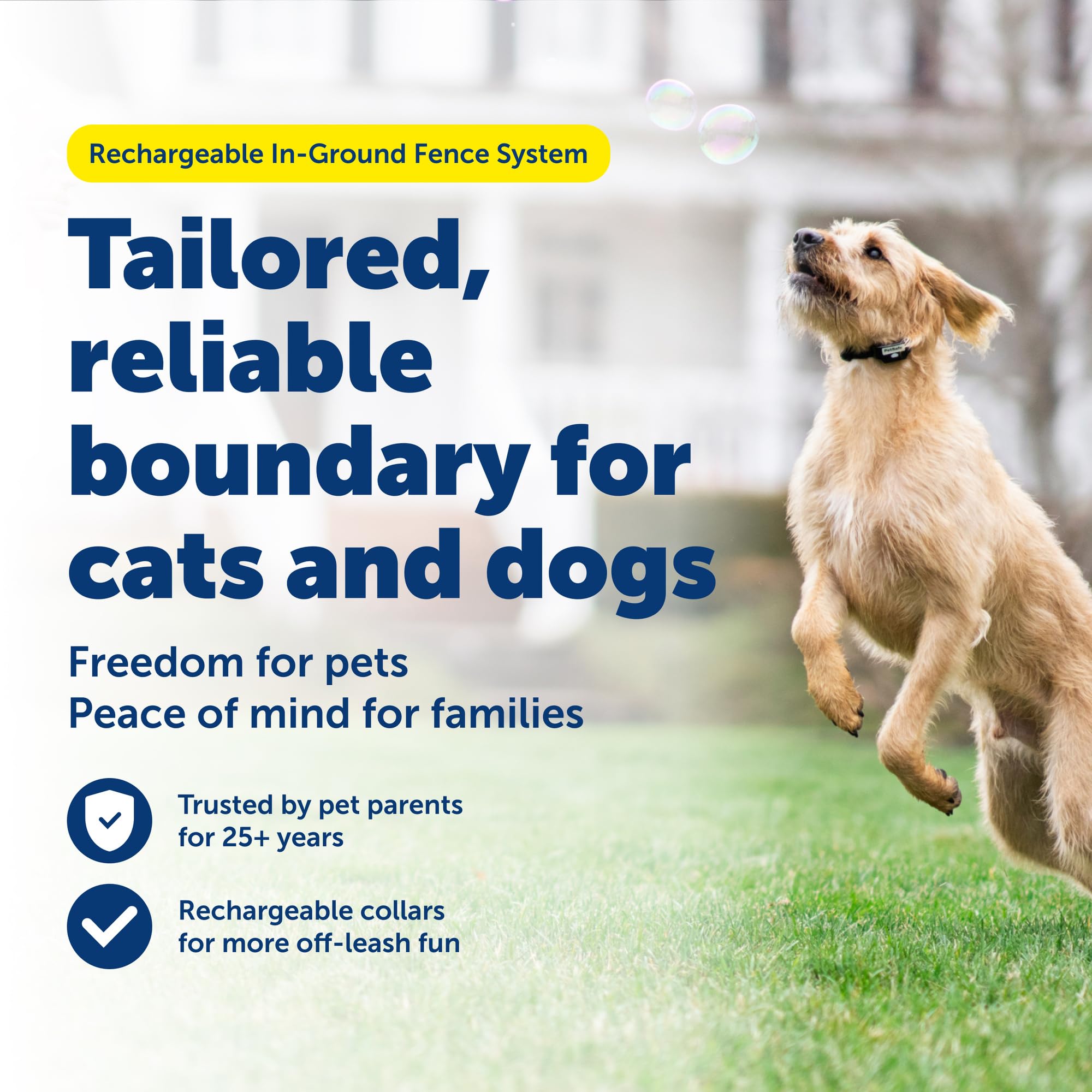 Collier receveur PetSafe en gros plan montrant finitions et fermeture, confort durable