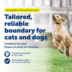 Collier receveur PetSafe en gros plan montrant finitions et fermeture, confort durable