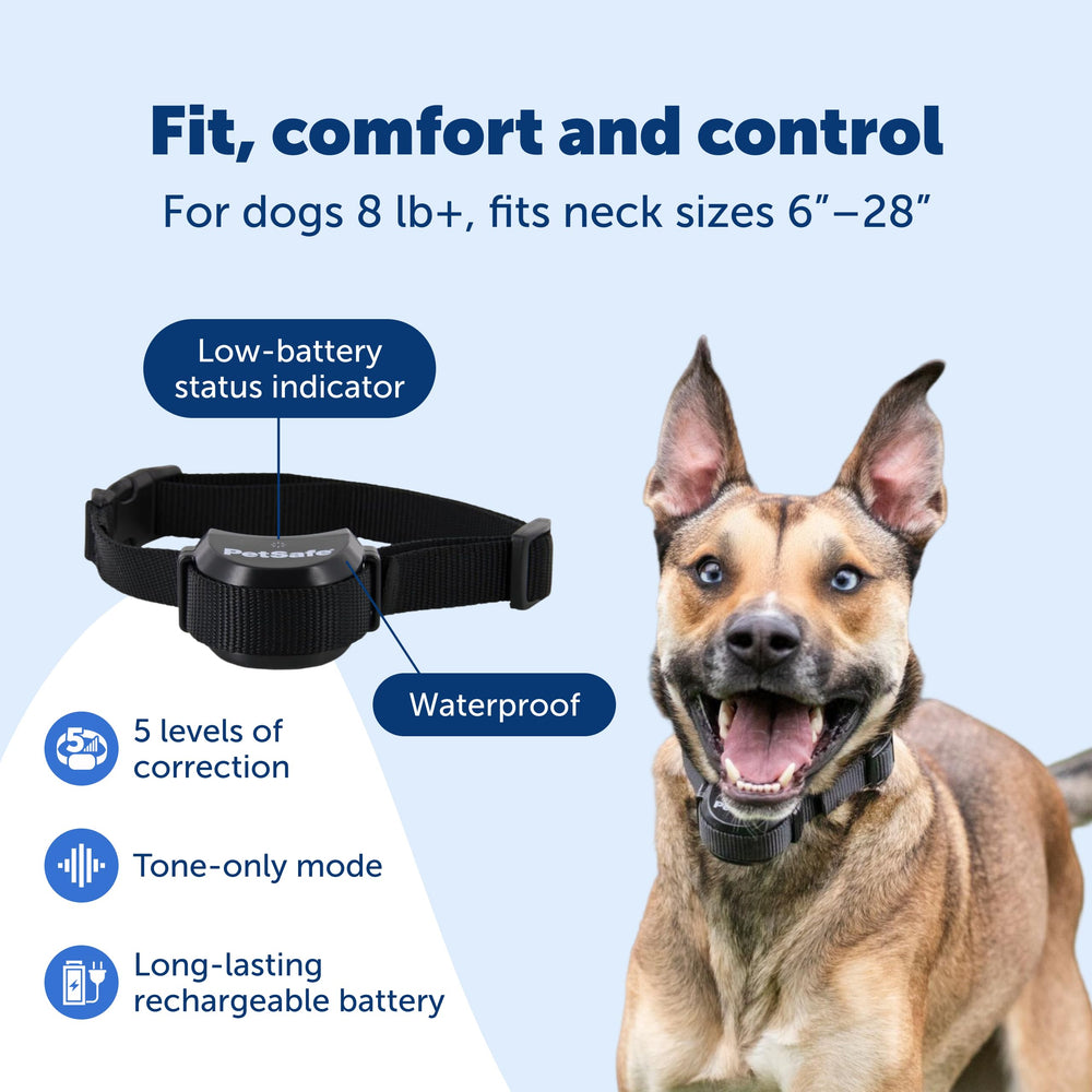 Chien portant PetSafe collier dans le jardin, liberté surveillée