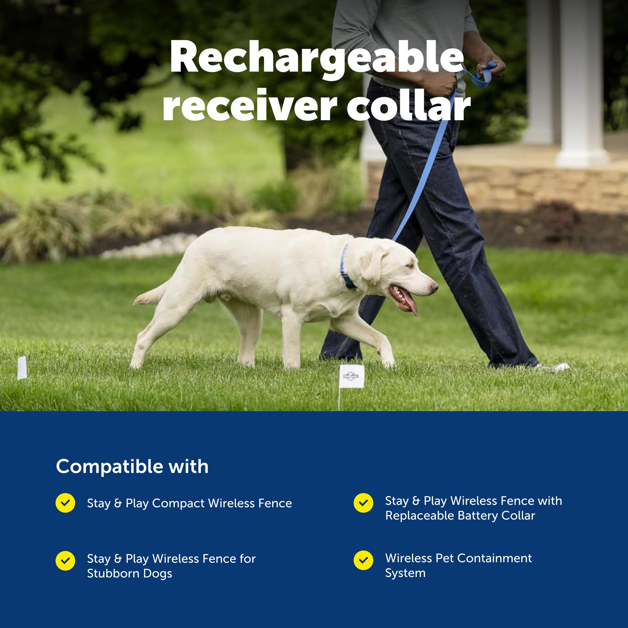 PetSafe collier vue de profil soulignant boîtier étanche et robuste