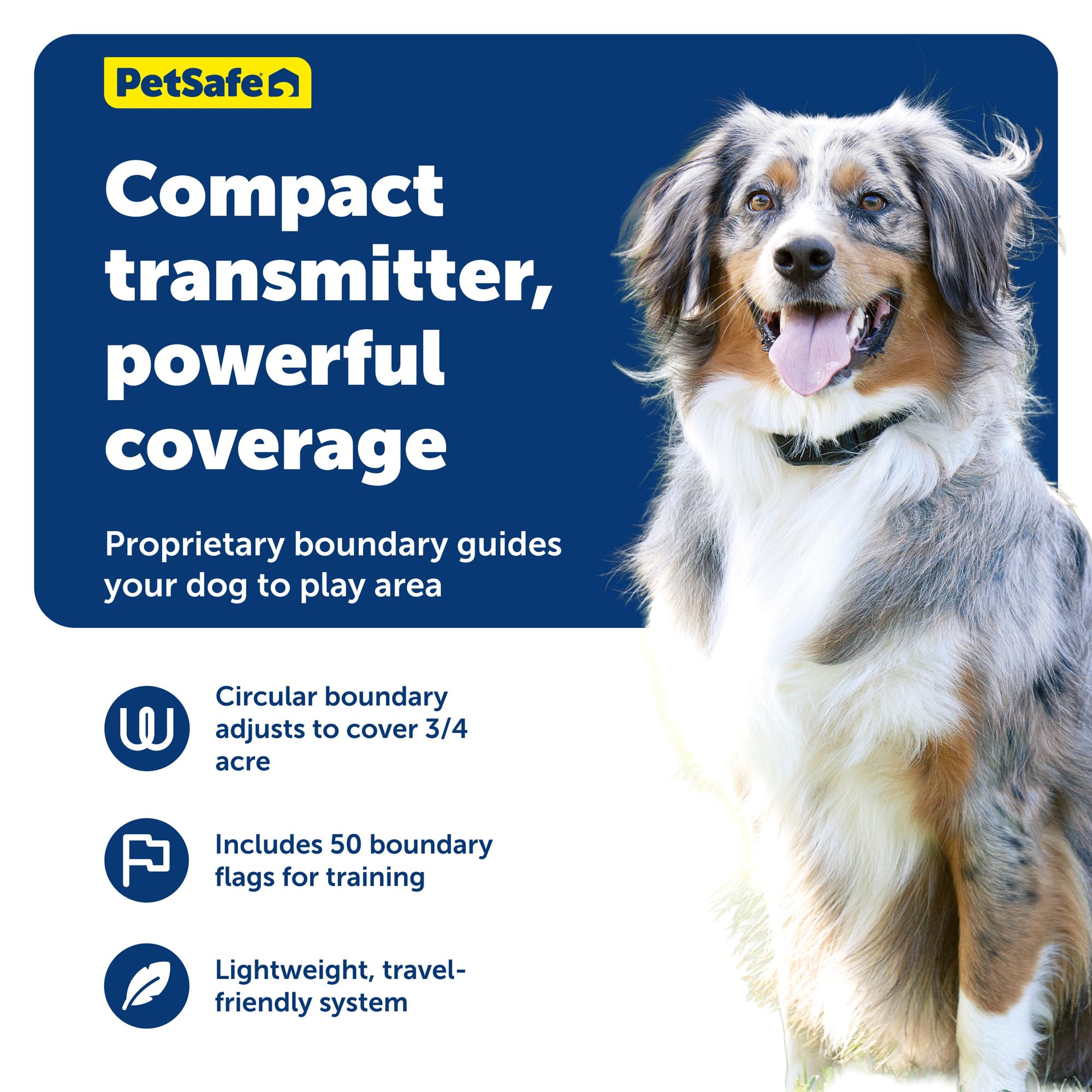 PetSafe colliers en usage dans jardin démontrant zone de jeu sécurisée