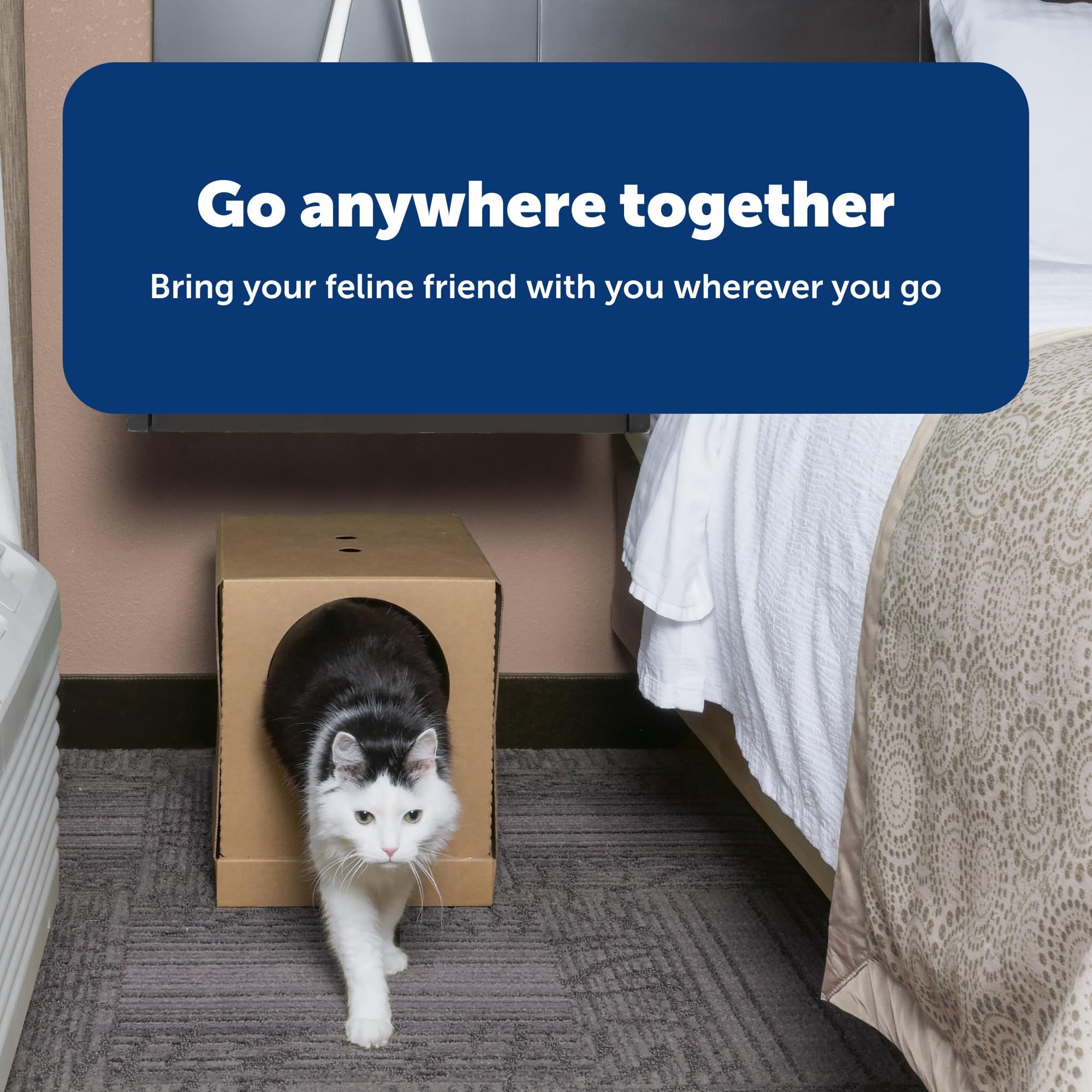 PetSafe comparaison d'échelle montrant dimensions et rangement compact