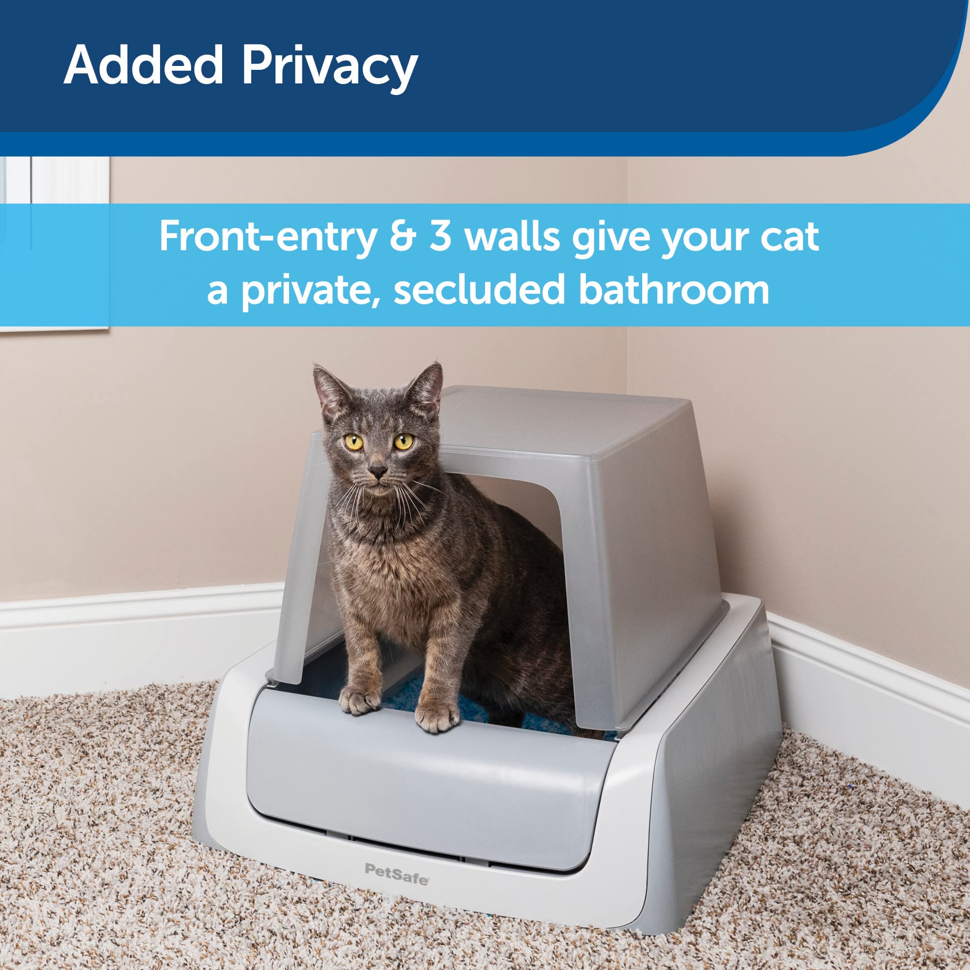 PetSafe comparaison taille avec main montrant adaptation au bac