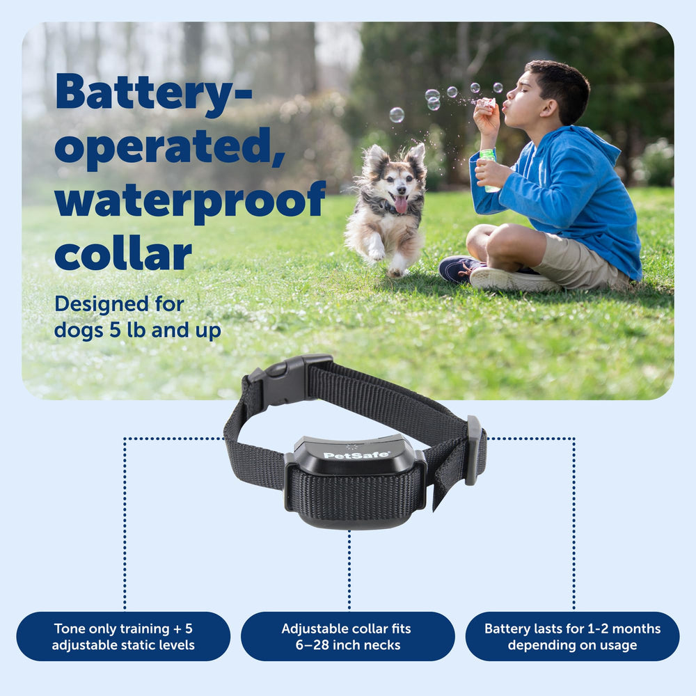 PetSafe collier posé près d'une règle montrant échelle et ajustabilité