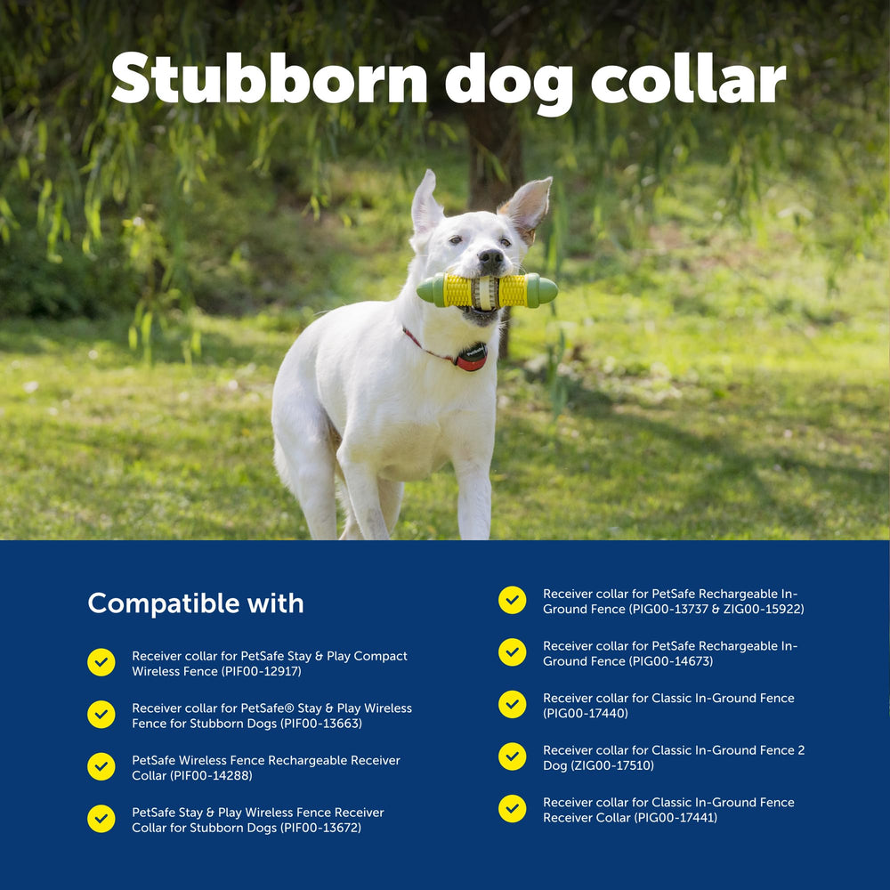 PetSafe comparaison de taille sur chien montrant l’ajustement précis
