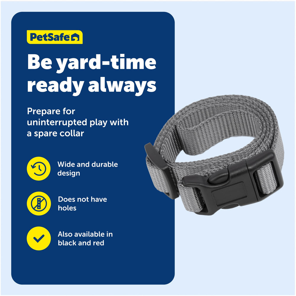 PetSafe comparaison taille montre ajustement 6–28 in pour diverses races