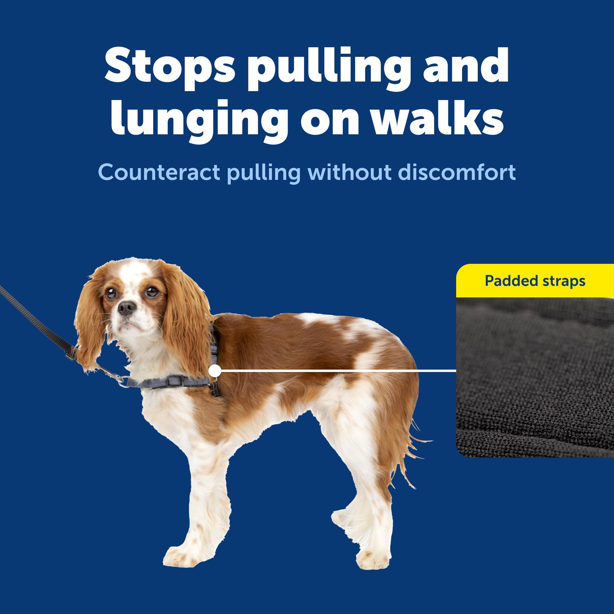 PetSafe attache avant sur la poitrine pour limiter les tirages