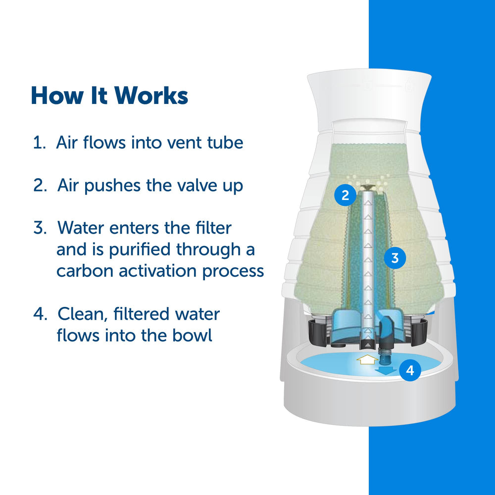 PetSafe gros plan sur charbon actif du filtre pour une eau plus propre