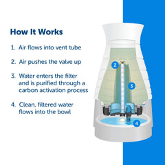 PetSafe gros plan sur charbon actif du filtre pour une eau plus propre