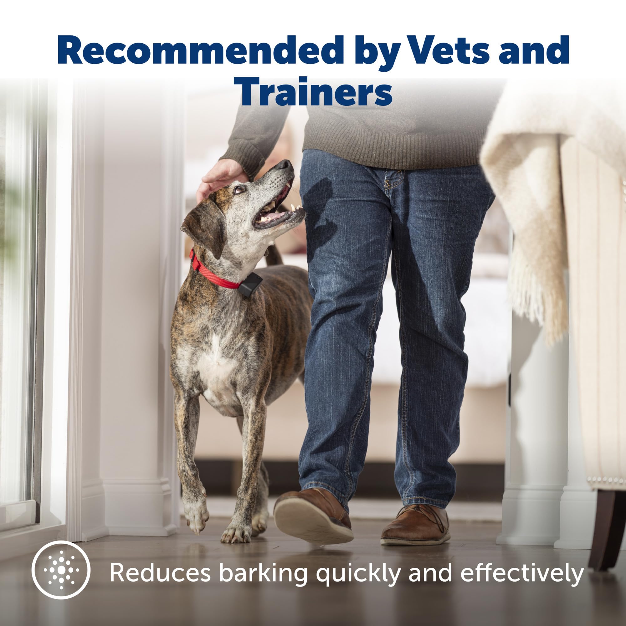 PetSafe zoom sur le capteur de vibration garantissant moins de fausses corrections
