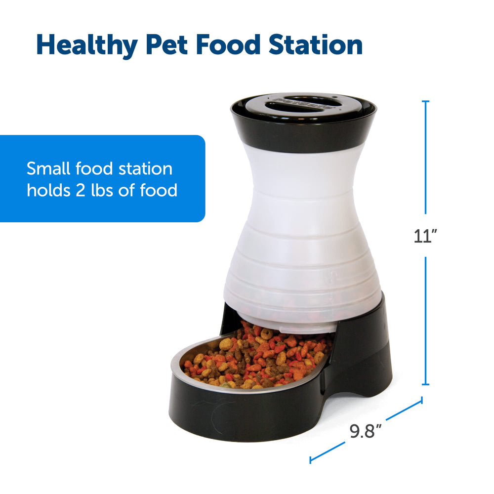 PetSafe distributeur posé en cuisine pour un coin repas élégant