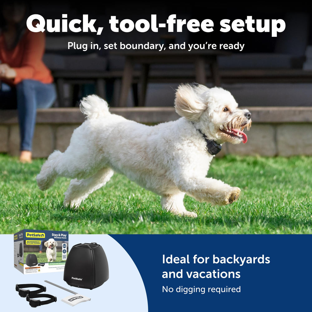 PetSafe drapeaux limite et émetteur installés pour entraînement clair