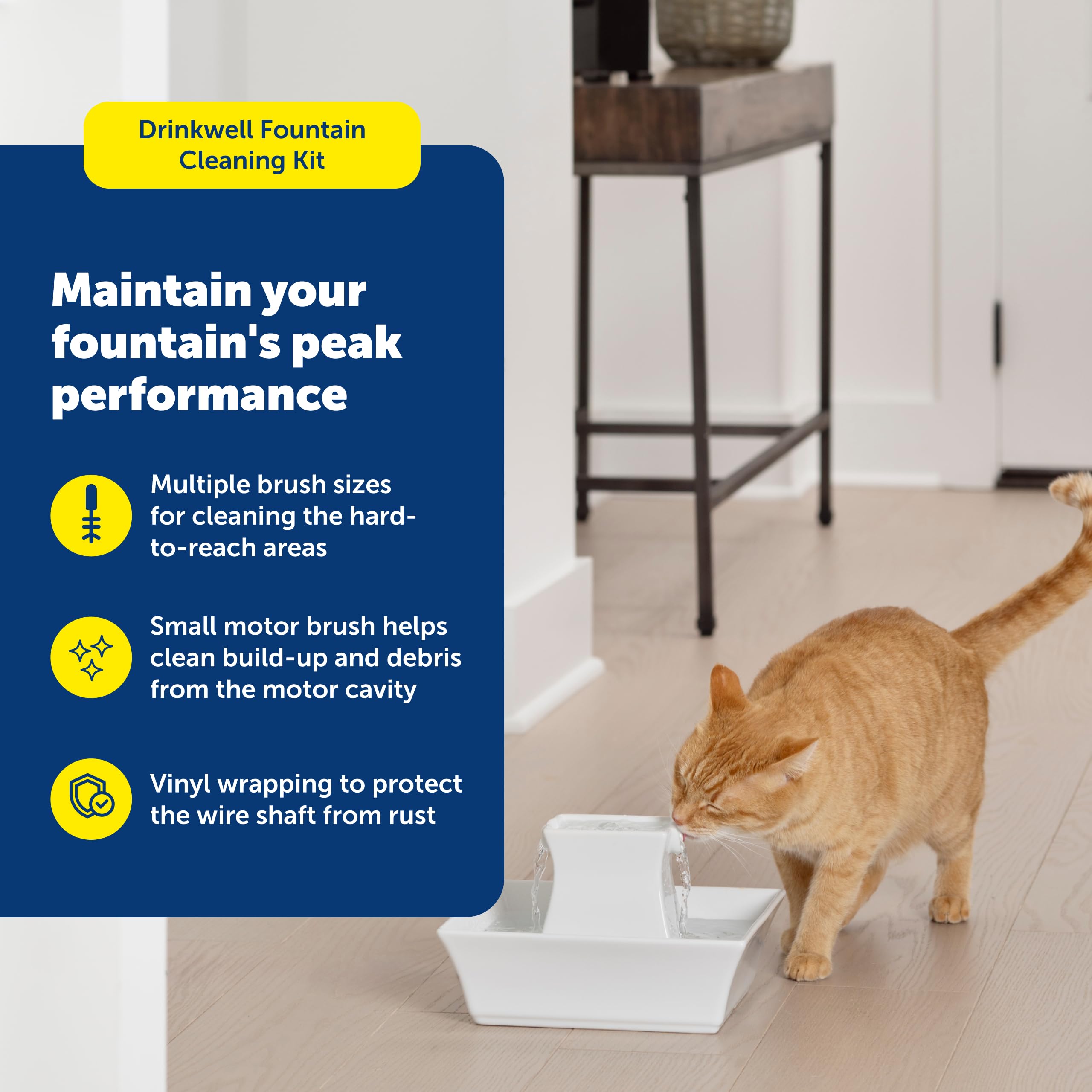 PetSafe brosse large poils résistants pour nettoyage efficace des parois
