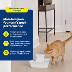 PetSafe brosse large poils résistants pour nettoyage efficace des parois