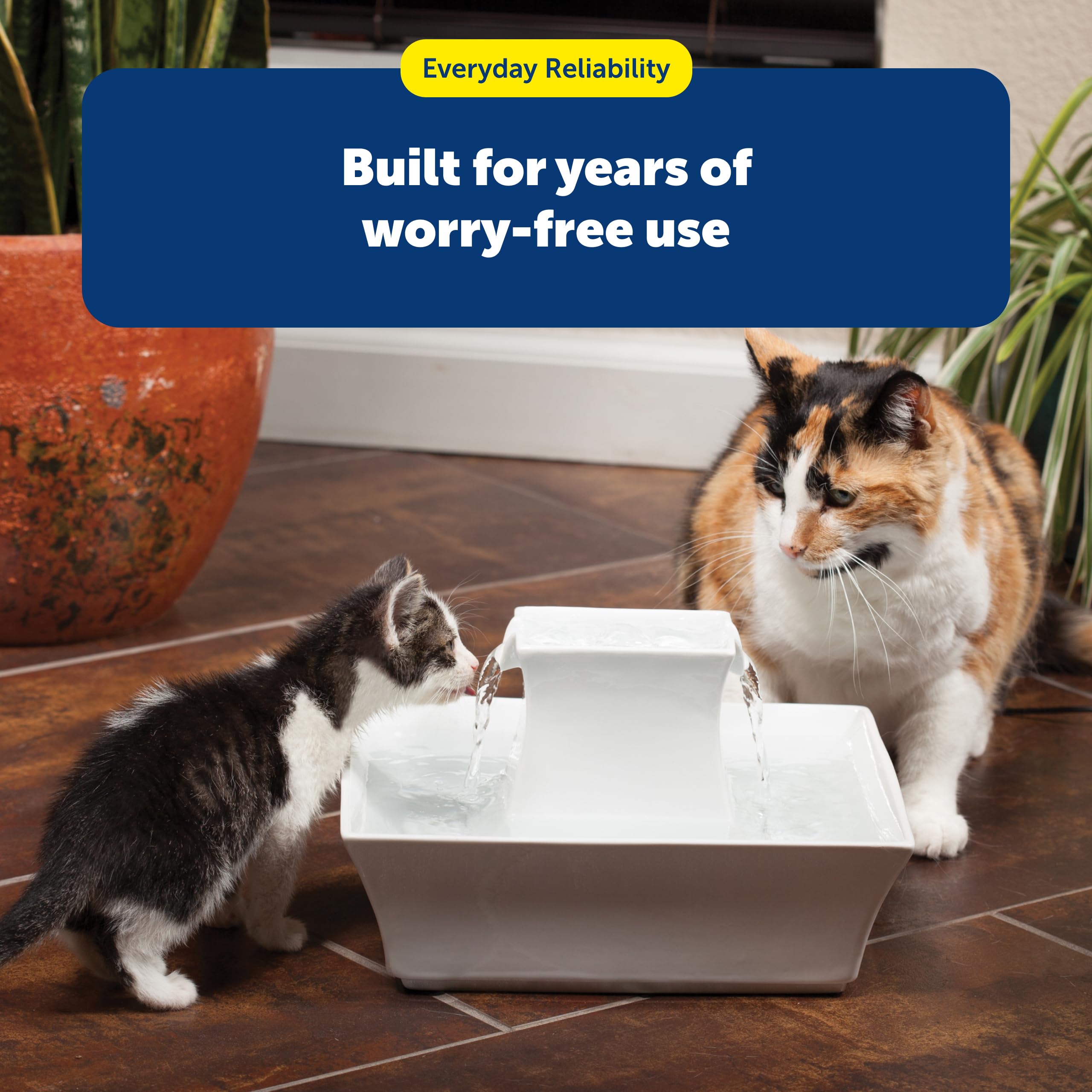 PetSafe comparaison visuelle des tailles de brosses pour usages ciblés