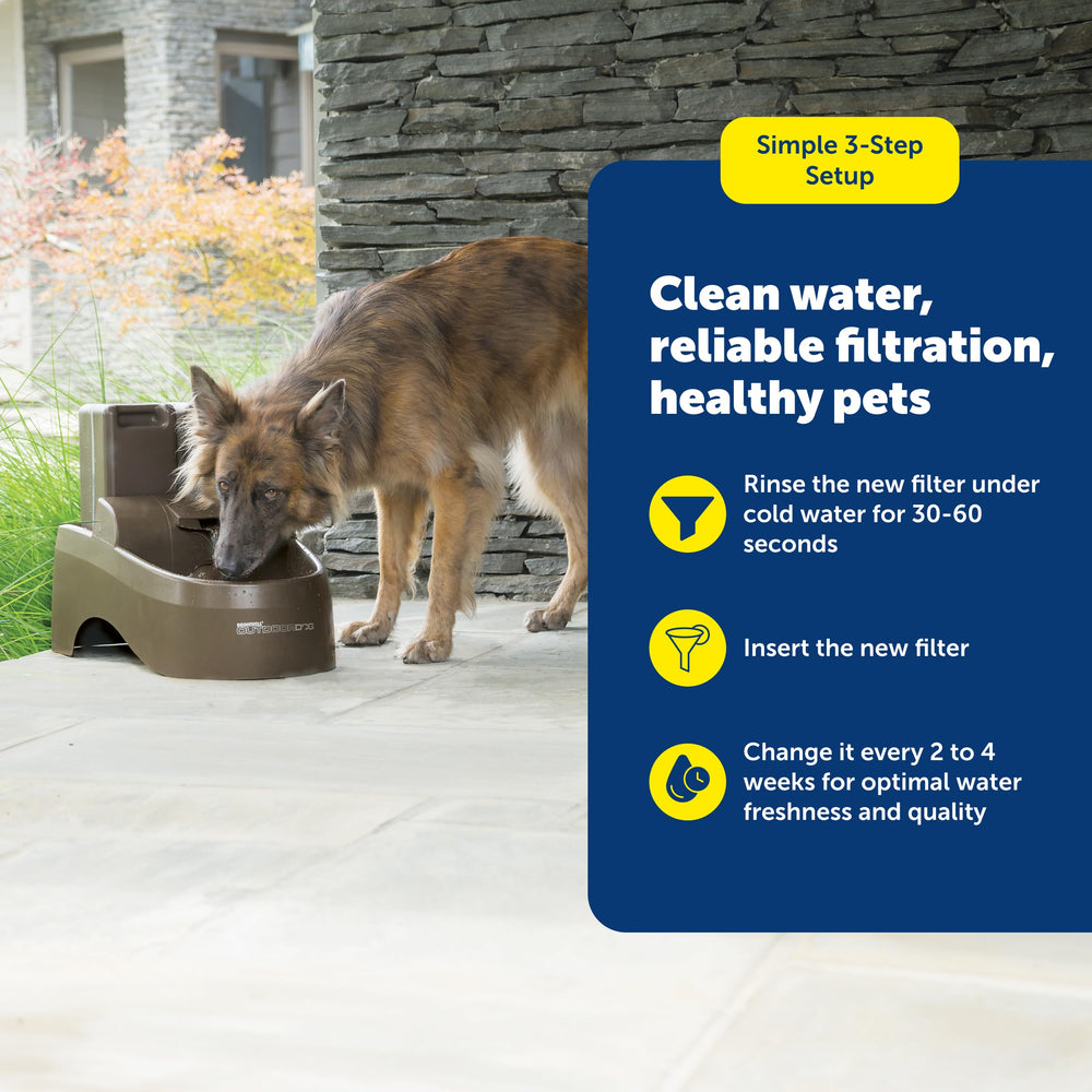 PetSafe ensemble 3 filtres charbon et 1 mousse présenté propre pour remplacements