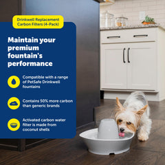 Gros plan du charbon activé PetSafe montrant la texture pour plus d'adsorption