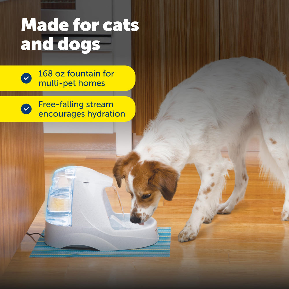 PetSafe fontaine en usage avec chat buvant, encourage l'hydratation régulière