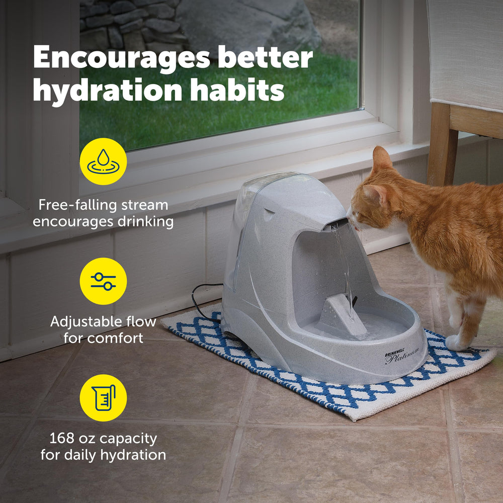 PetSafe réservoir avec couvercle clipsable pour remplissage simple et propre