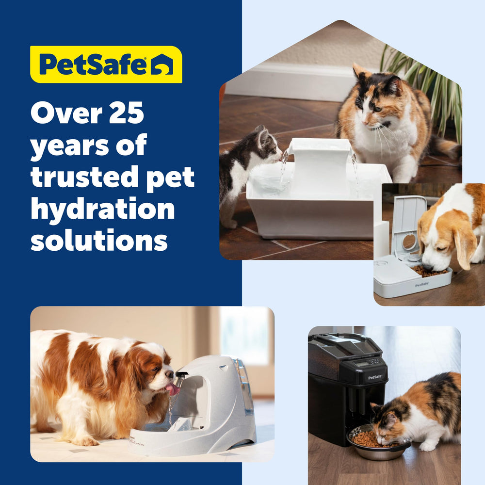 PetSafe scène de vie avec fontaine dans cuisine pour hydratation quotidienne