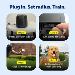 PetSafe drapeaux d'entraînement et outils pour configuration rapide