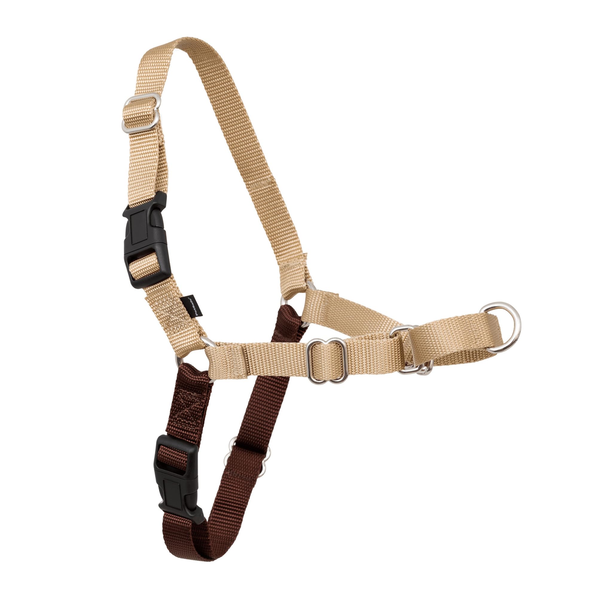 PetSafe vue avant du harnais Easy Walk montrant son attache frontale, contrôle amélioré