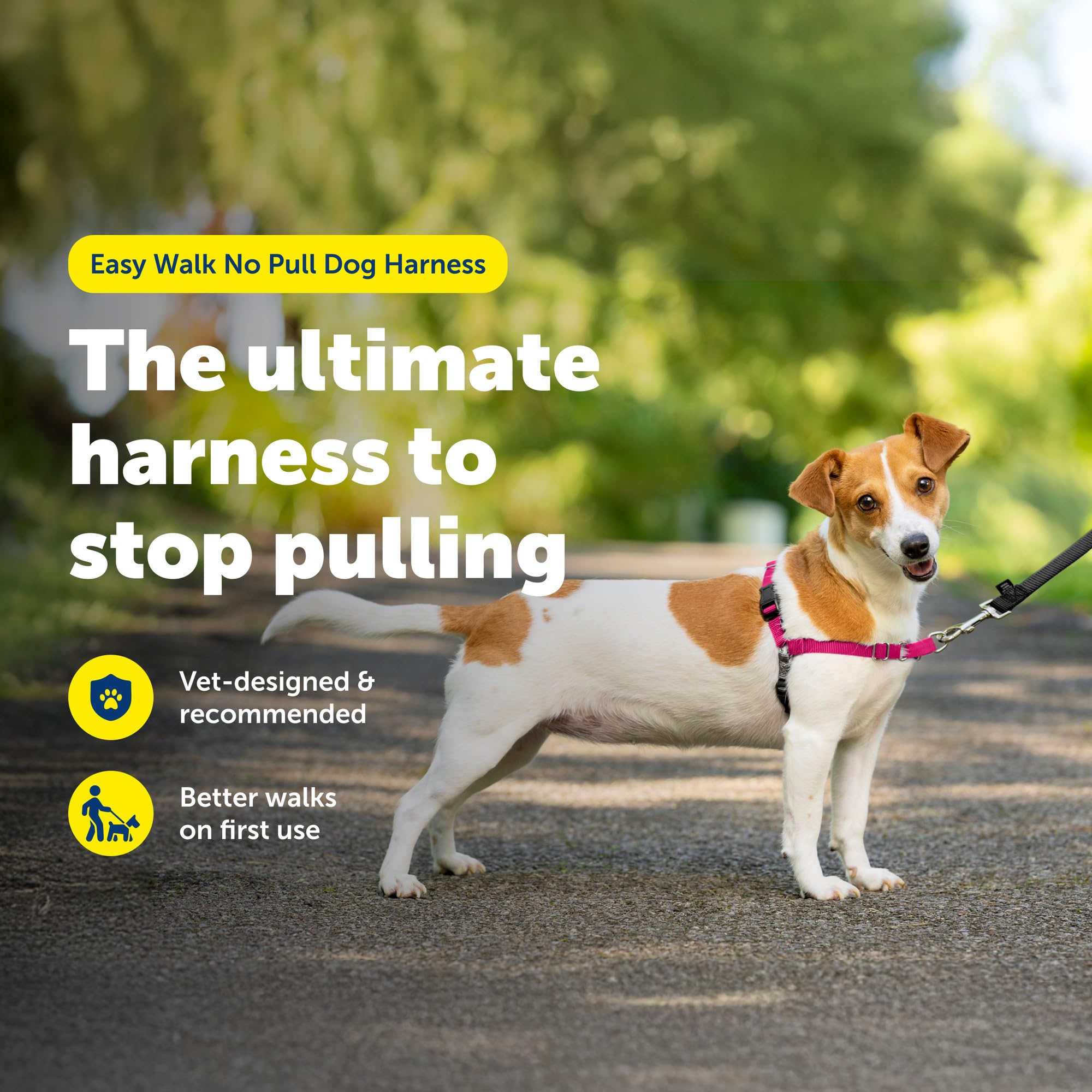 PetSafe harnais gros plan boucle martingale sécurisante pour contrôle progressif