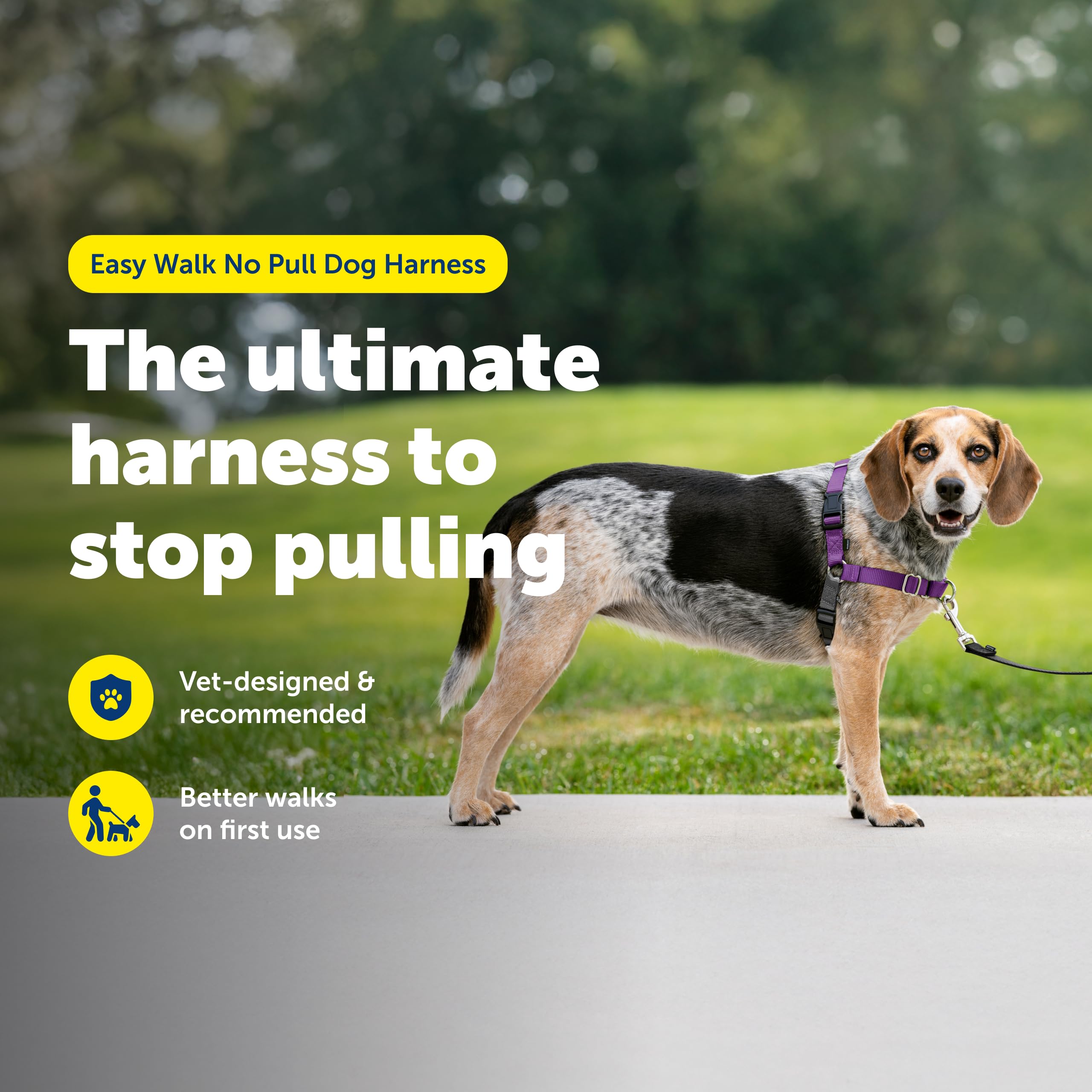 PetSafe détail de la boucle martingale illustrant contrôle progressif de traction