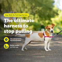 PetSafe harnais gros plan boucle martingale sécurisante pour contrôle progressif