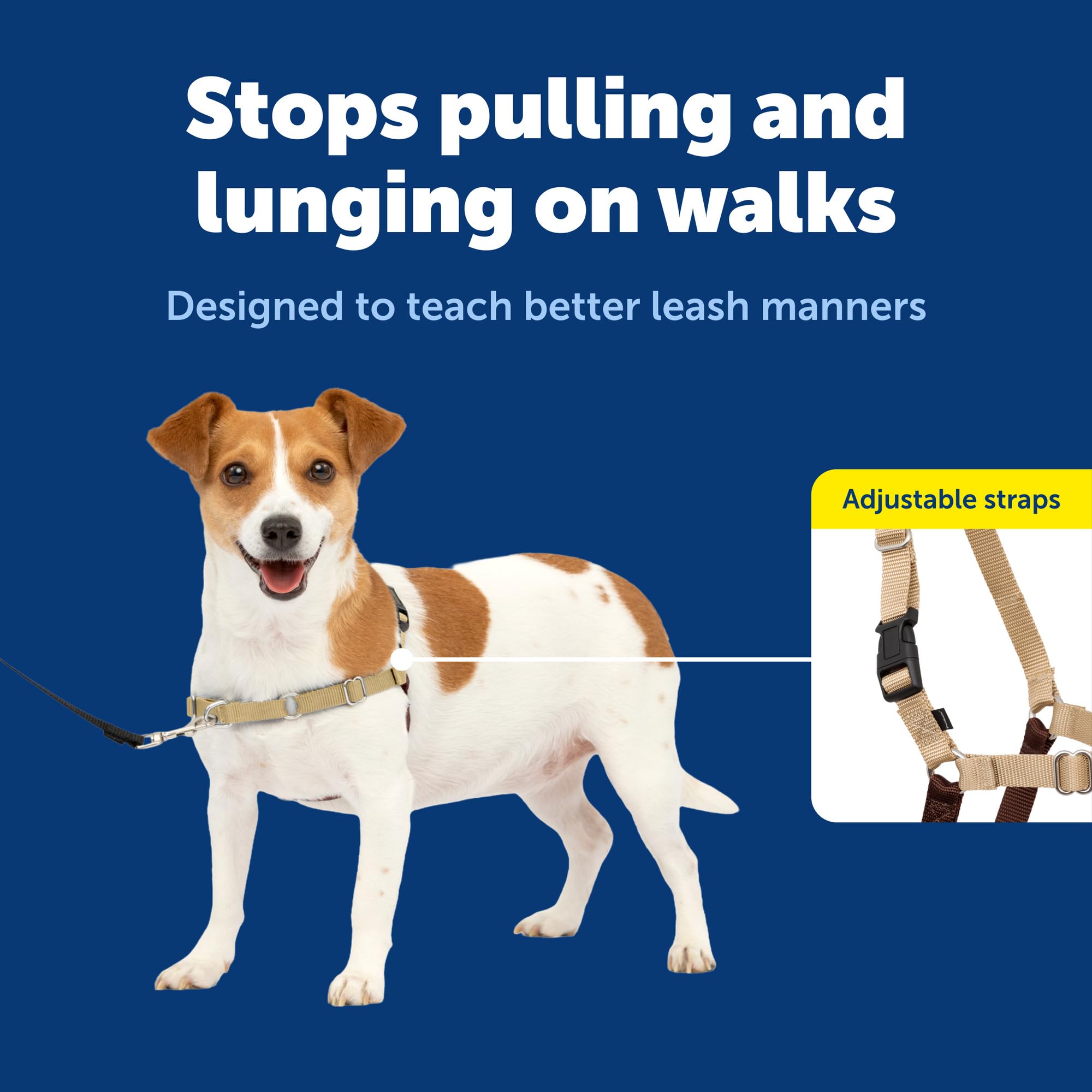 PetSafe gros plan sur la boucle martingale montrant la sécurité et la redirection