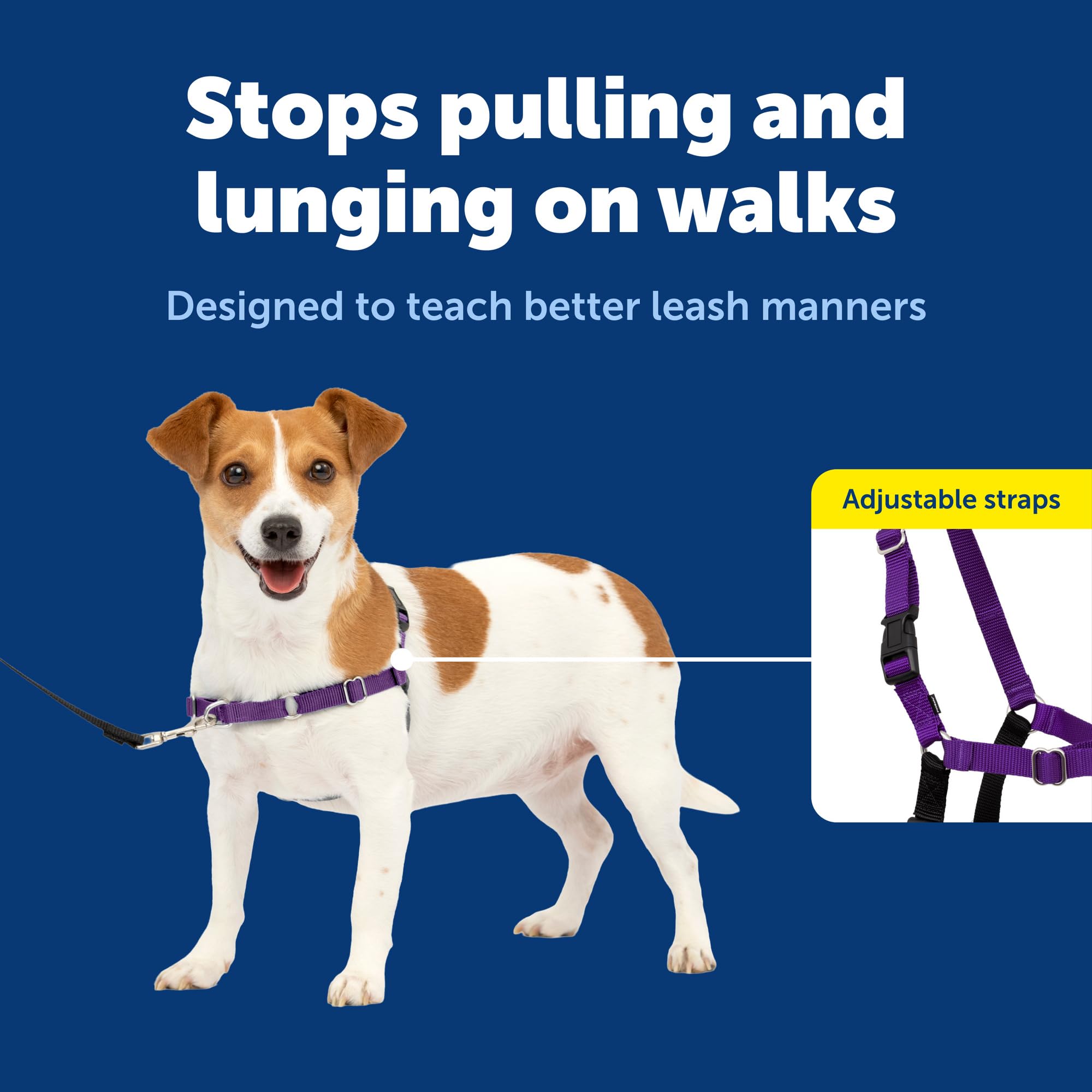 PetSafe sur chien en promenade pour des sorties plus calmes