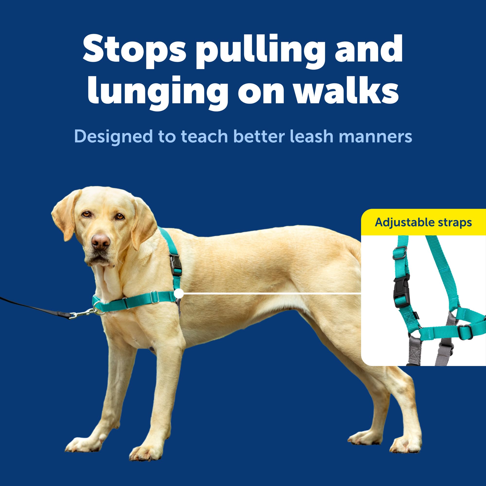 PetSafe fermeture clip d'épaule pour un enfilage rapide et sûr