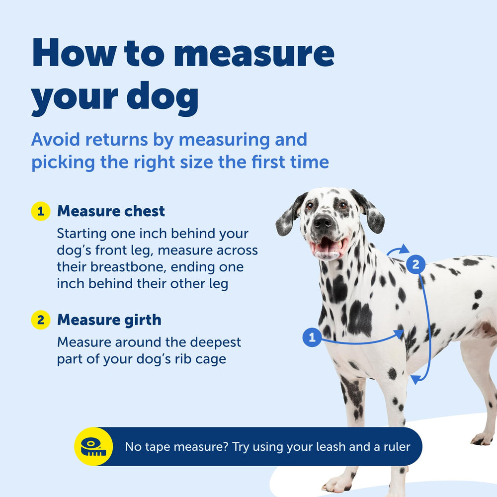PetSafe harnais comparaison taille montrant échelle et ajustement précis